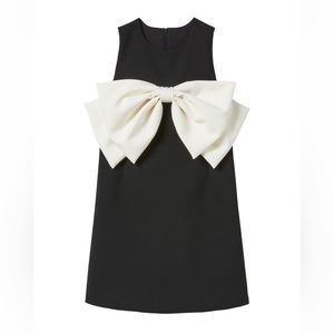 Zara dress with maxi Bow
